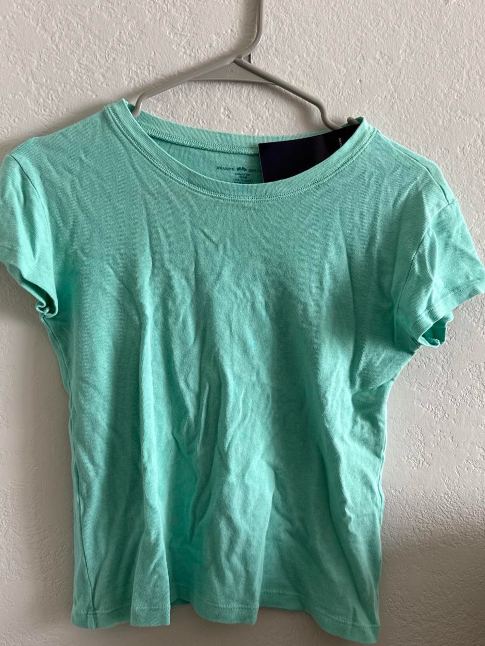 Brandy Melville teal Short Sleeve Crew Tee